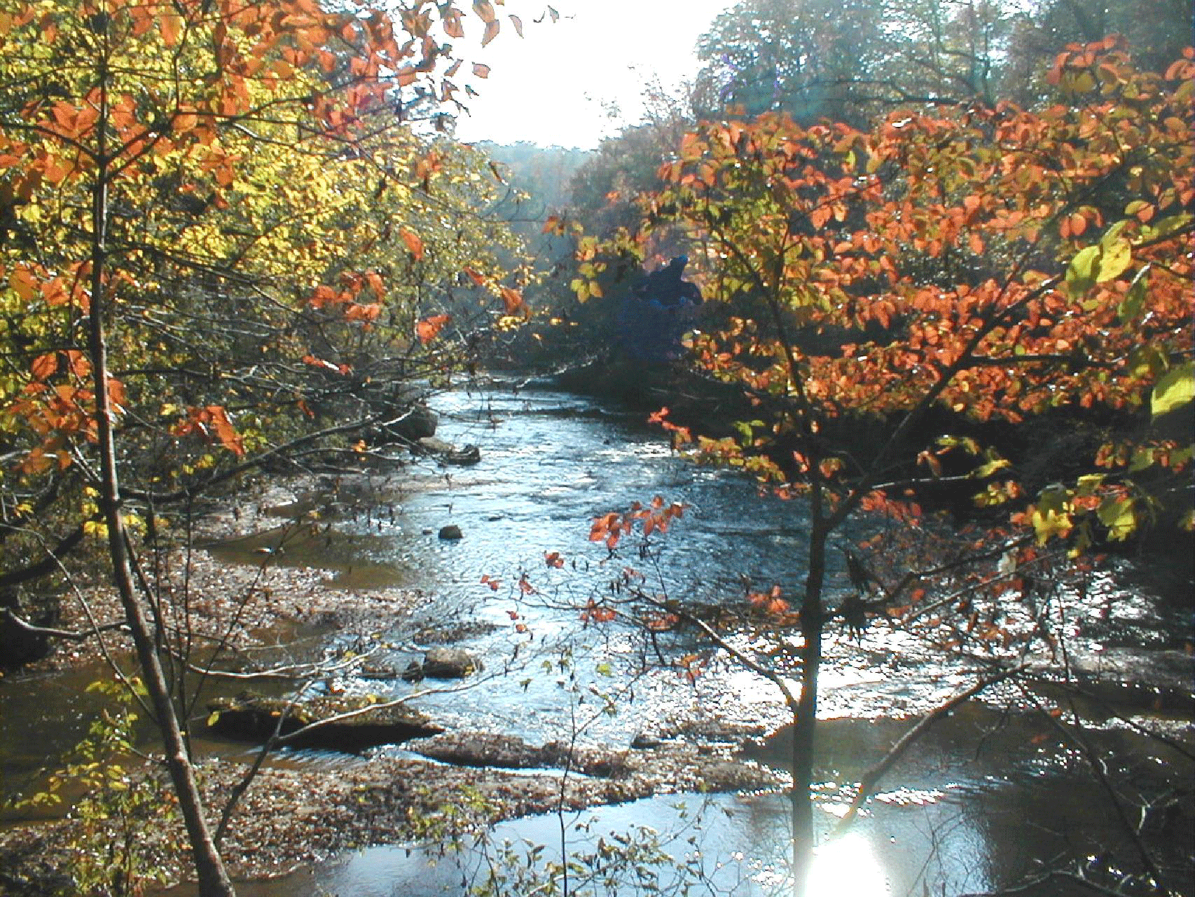 Fall-river-picture-for-web.gif
